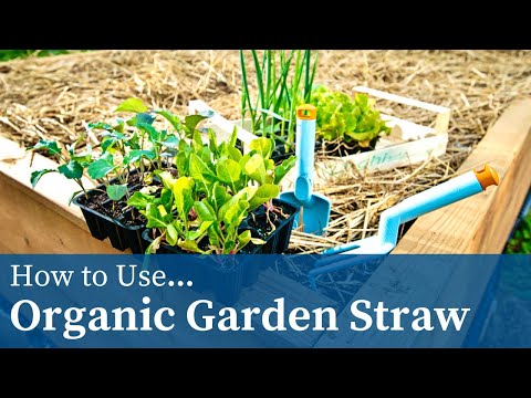 Introducing Blue Mountain Hay Organic Garden Straw. A pesticide-free mulch for your garden or lawn.
