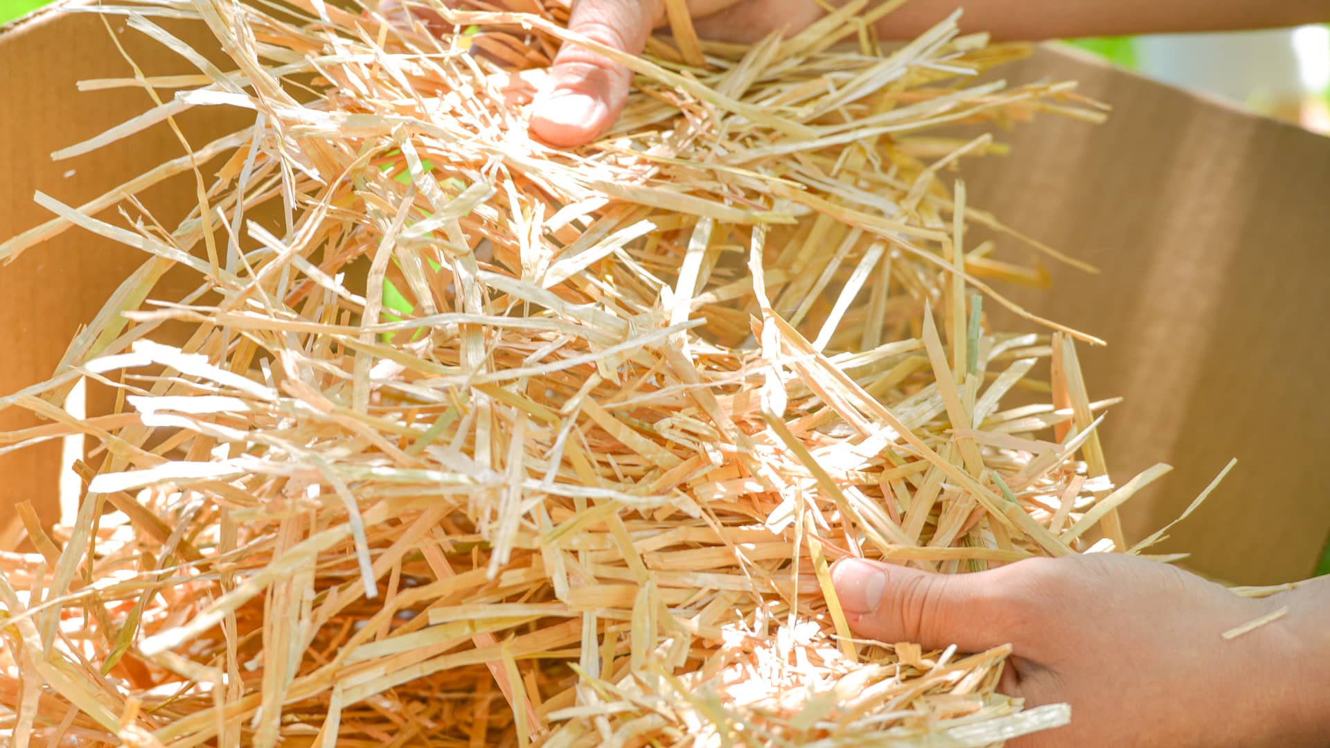 Straw Bedding For Rabbits The Key Facts Blue Mountain Hay