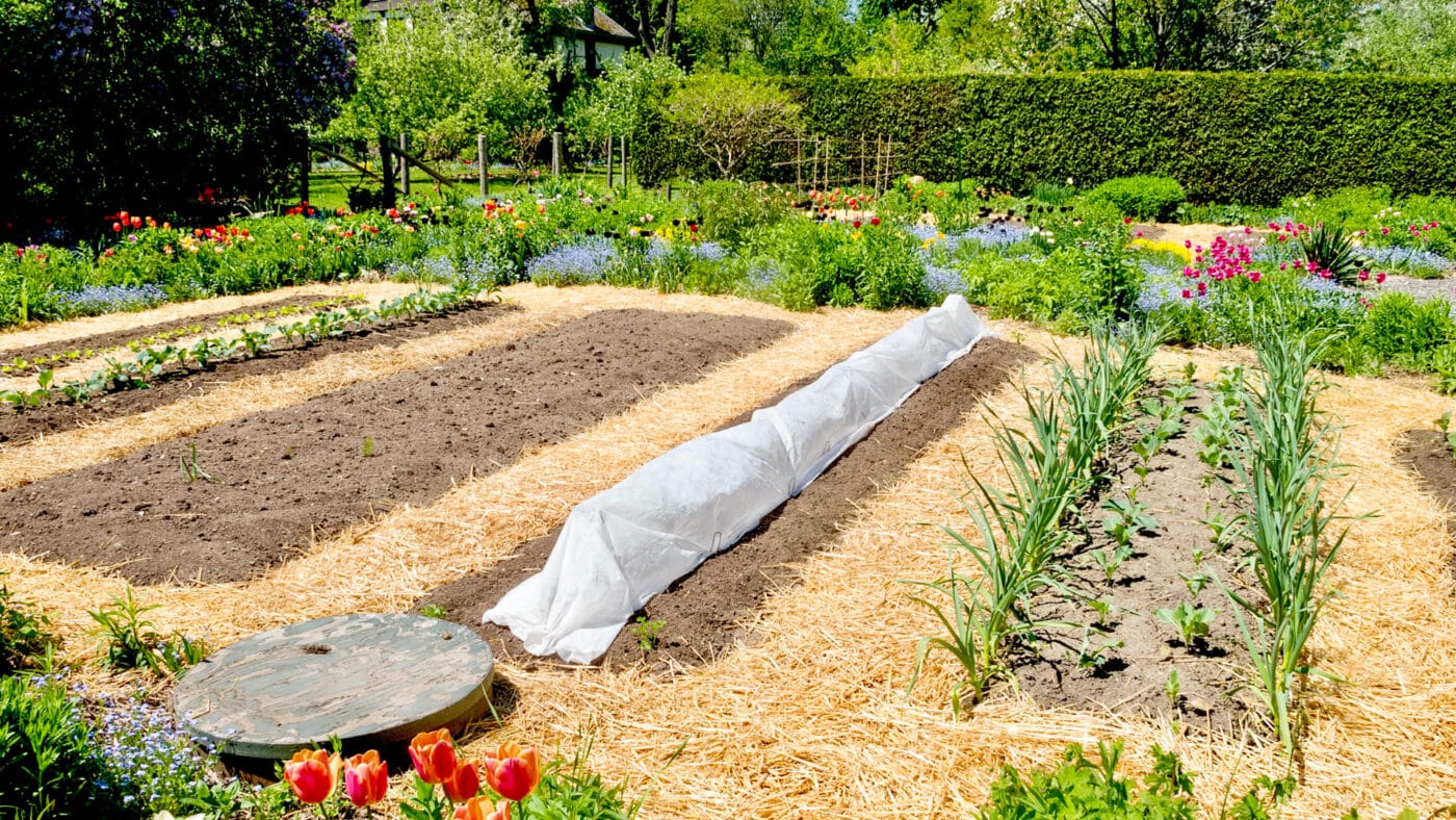 Straw Garden Mulch: The Ultimate Guide