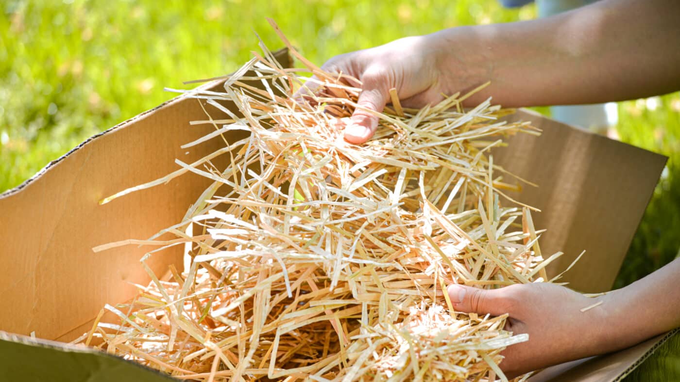 pulling apart straw mulch for flower beds